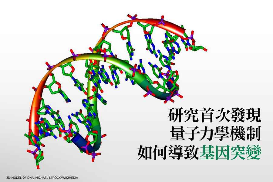 研究首次發現量子力學機制如何導致基因突變