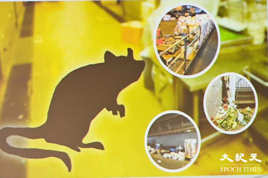 食環採新技術測社區鼠患 首輪調查成本750萬