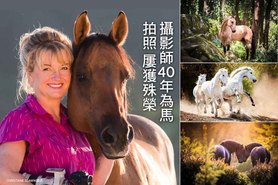 【圖輯】德國女攝影師40年為馬拍照 屢獲殊榮