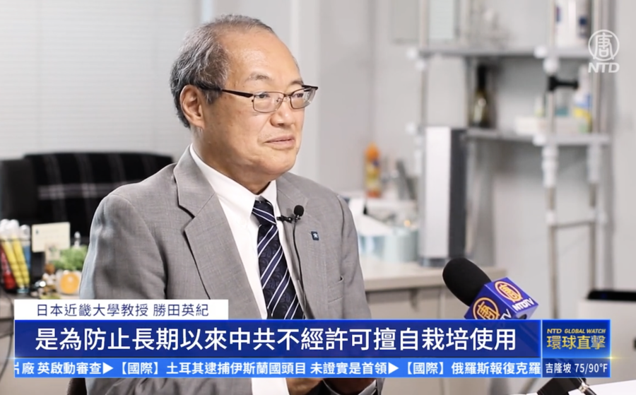 日本實施《種苗法》 專家譴責中共長期偷取日本種源