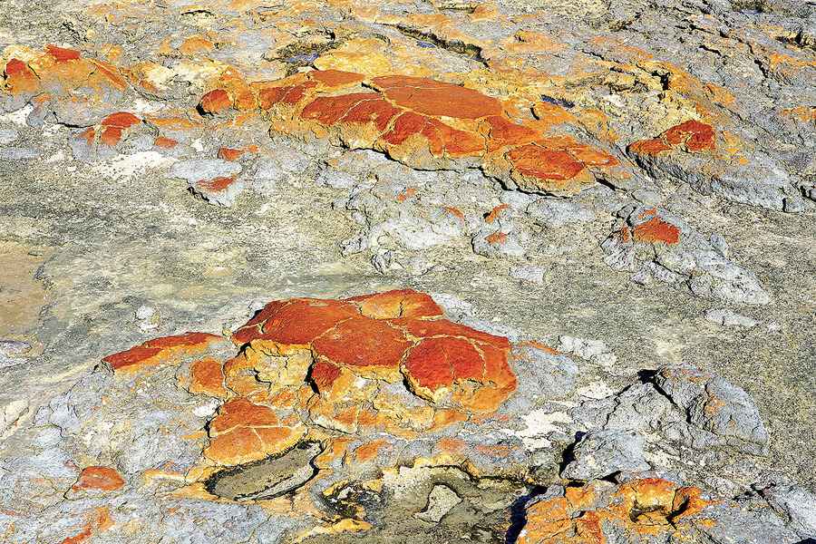 科學家：最古老生命化石和地球幾乎同齡