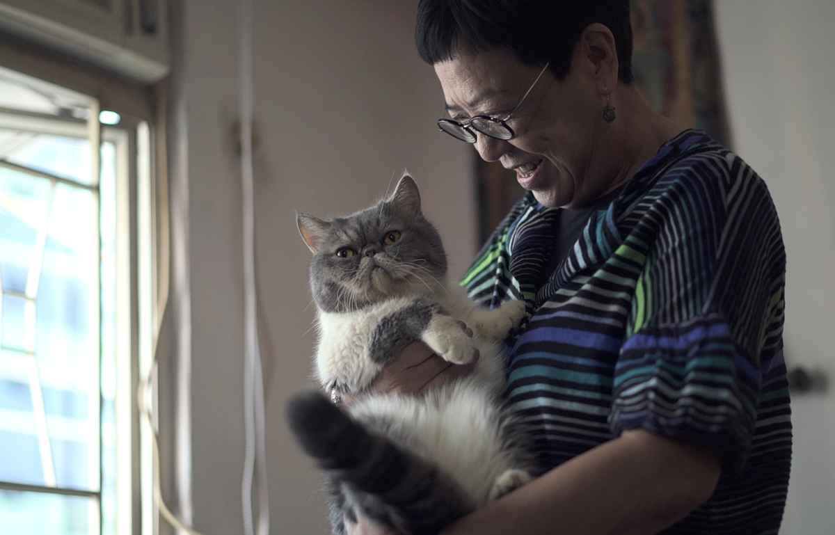 許鞍華的愛貓Figaro亦友情出鏡。（高先電影提供）