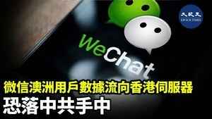 微信澳洲用戶數據流向香港伺服器 恐落中共手中