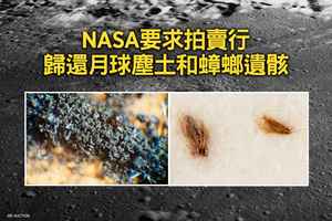NASA要求拍賣行歸還月球塵土和蟑螂遺骸