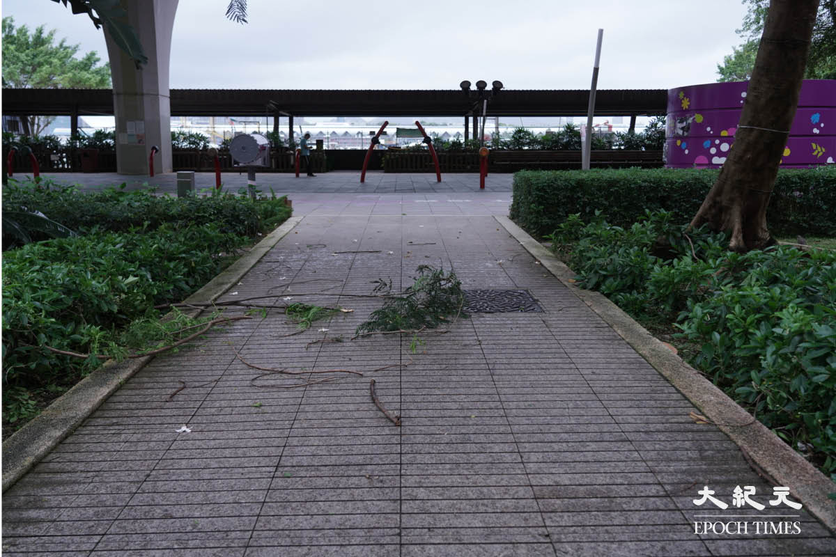 今日（7月2日）早上7時，觀塘海濱公園未見大雨，風勢有時頗大，有市民在觀塘海濱公園晨練及追風。（余鋼／大紀元）