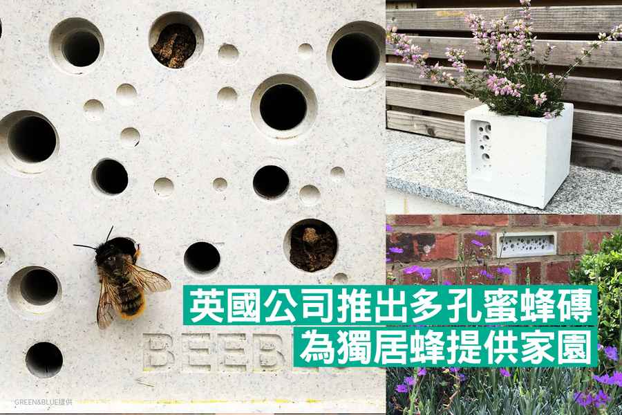 英國公司推出多孔蜜蜂磚 為獨居蜂提供家園