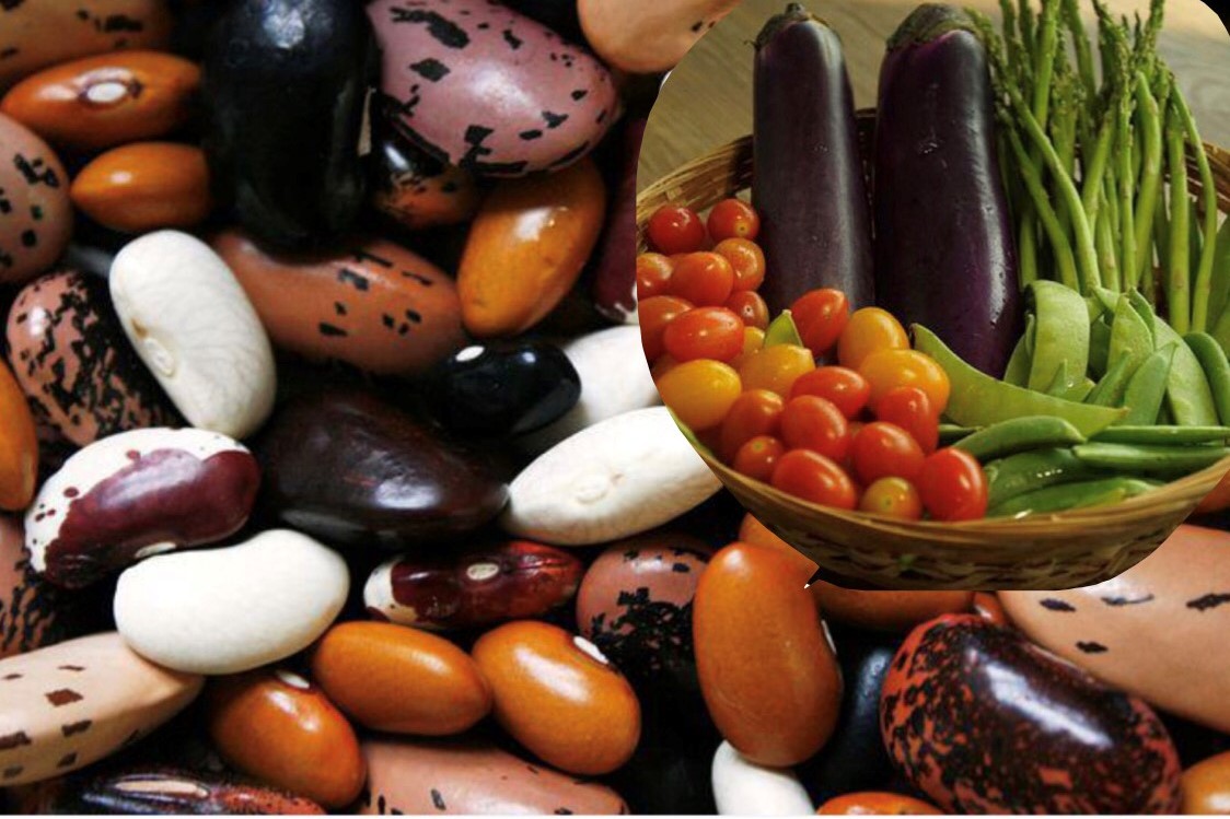 醫學研究證實，豆類素食有減肥功效，且更適合糖尿病患者。（大紀元合成）