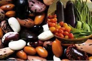 豆類素食有減肥功效 也有利於糖尿病患者
