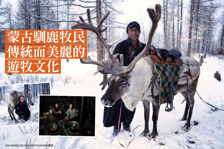 【圖輯】蒙古馴鹿牧民傳統而美麗的遊牧文化