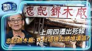 【動紀元】上周四遷出死線 志記鎅木廠：木材唔通去晒堆填區?