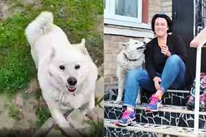 逃離戰火數月 烏克蘭女子驚見愛犬在家門等候