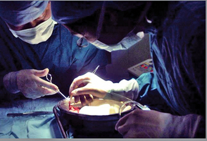 「反對強摘器官醫生組織」 獲諾貝爾獎提名