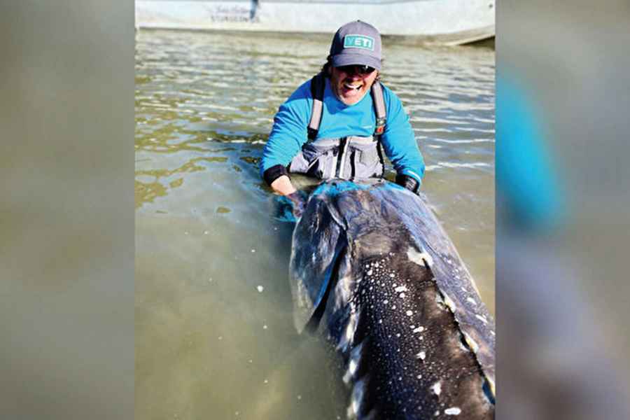 加拿大釣魚嚮導 捕獲百歲巨型鱘魚 體長超3米