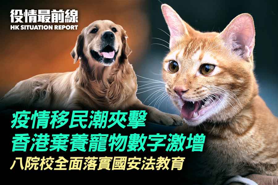 【7.26役情最前線】疫情移民潮夾擊 香港棄養寵物數字激增