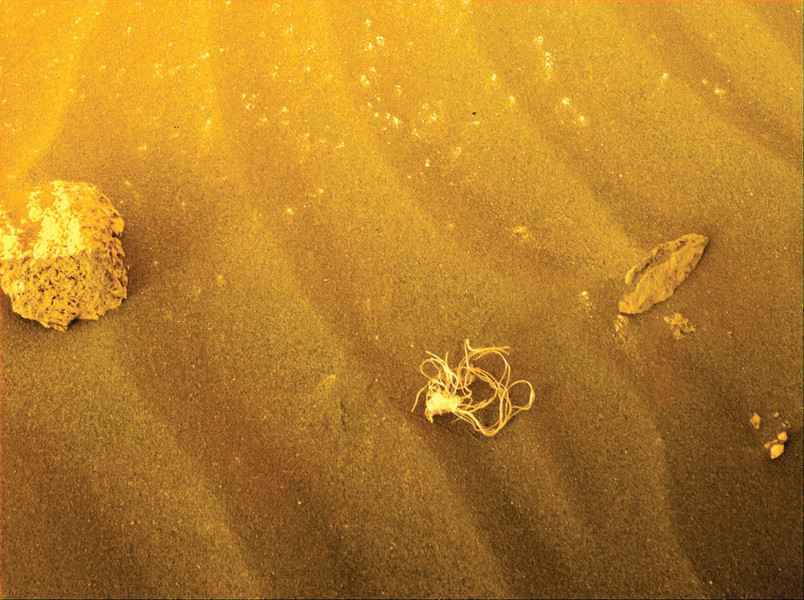 火星表面發現麵條狀物體
