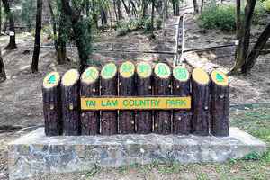 當局重提開發郊野公園起公屋  綠團批佔地逾百頃 促發展棕地