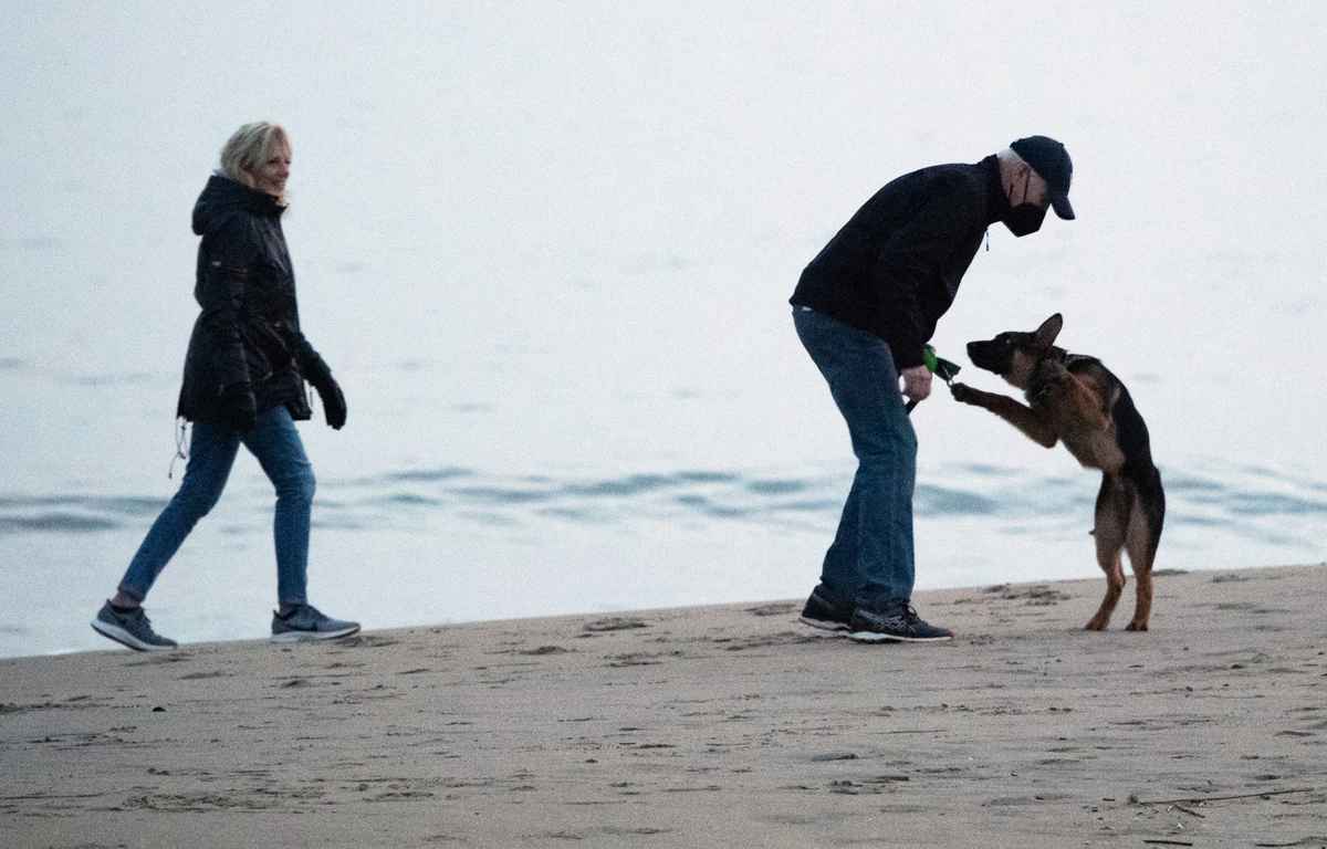 2021年12月，美國總統拜登與夫人吉爾帶著德國牧羊犬「司令」（Commander）到沙灘玩耍。(SAUL LOEB / AFP)