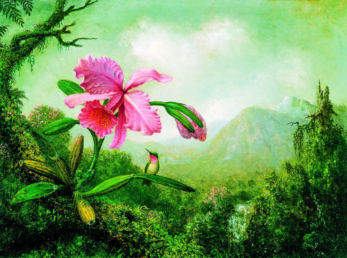 馬丁約翰遜海德的作品《山瀑布附近的蘭花和蜂鳥》（Orchid and Hummingbird near a Mountain Waterfall），約1902 年創作。多厄山谷博物館（Museum of the Shenandoah Valley）提供）