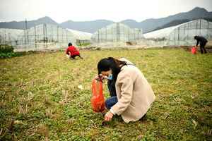 上海湖北等15省市遇熱浪 江蘇秋糧作物受影響