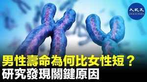 男性壽命為何比女性短？研究發現關鍵原因