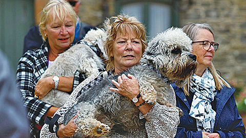 受通貨膨脹影響，很多人放棄了自己的寵物，把它們送到「巴特西貓狗之家」。（Getty Images）