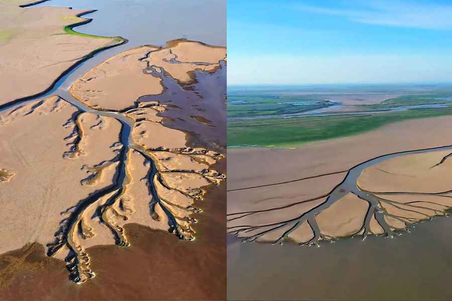 鄱陽湖提早進入枯水期 現「大地之樹」景象