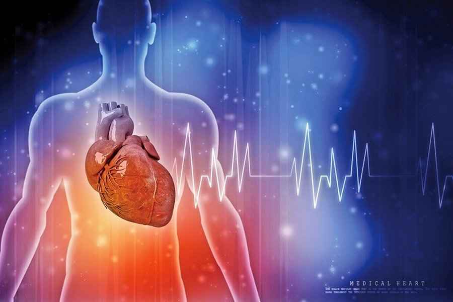 研究 心肌細胞隨年齡增長累積突變 或致老年人心臟功能障礙