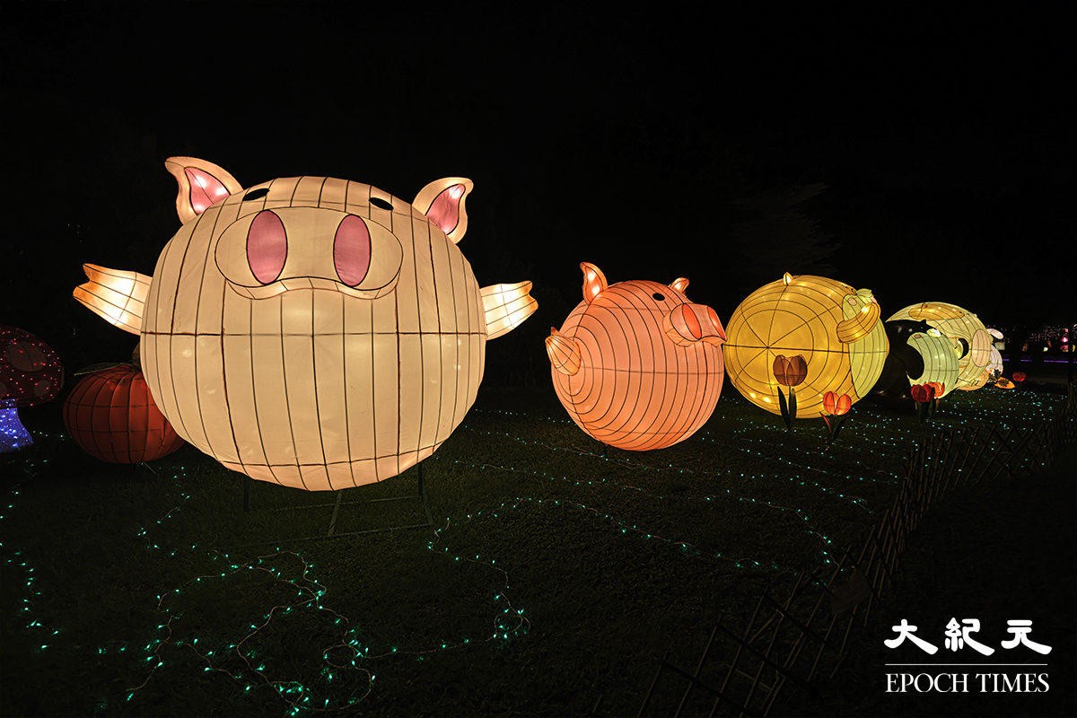 大埔海濱公園內的豬仔造型綵燈。（陳仲明／大紀元）