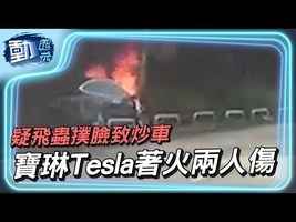 【動紀元】疑飛蟲撲臉致炒車 寶琳Tesla著火兩人傷