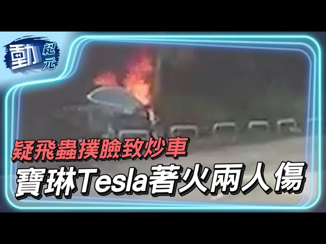 【動紀元】疑飛蟲撲臉致炒車 寶琳Tesla著火兩人傷