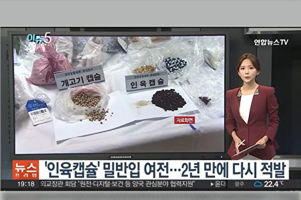 違反人倫 中國胎兒屍體製成人肉膠囊再現南韓