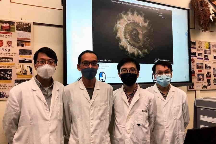 中大設3D植物果實種子資料庫 公眾可直接於電腦手機查閱