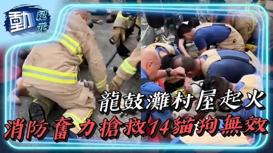 【慎入】龍鼓灘村屋起火 消防奮力搶救14貓狗無效