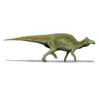 罕見「恐龍木乃伊」 身上驚見遠古鱷魚咬痕