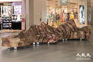 今秋「嶼木同行」 香港木庫18噸回收樹木製成9.6米木椅東薈城展出