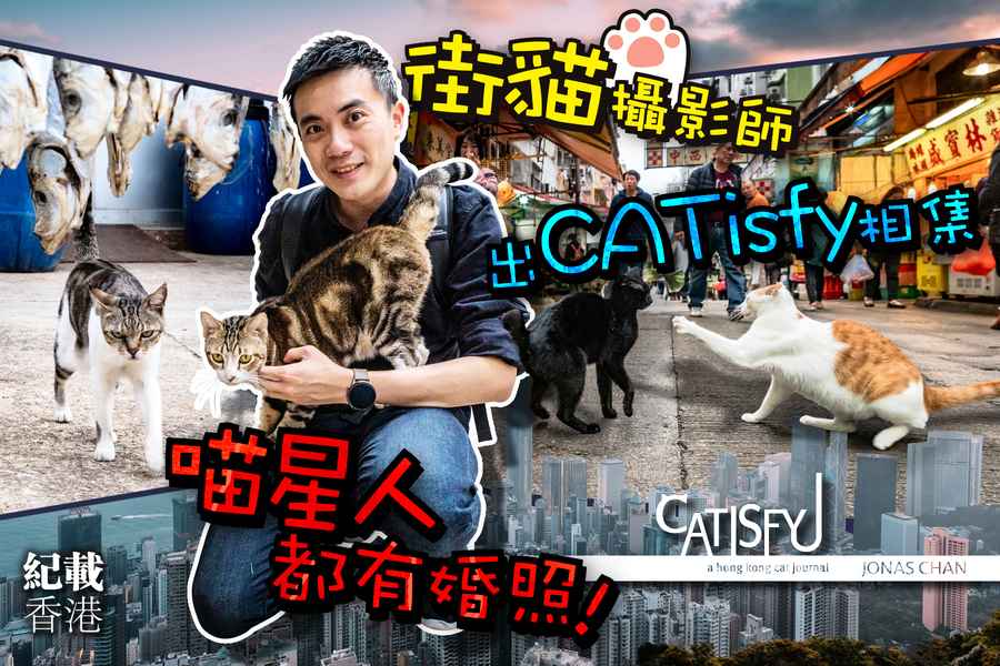 【紀載香港】旅攝故事｜「貓眼」看香港 街貓攝影師出版相集還原人性純真