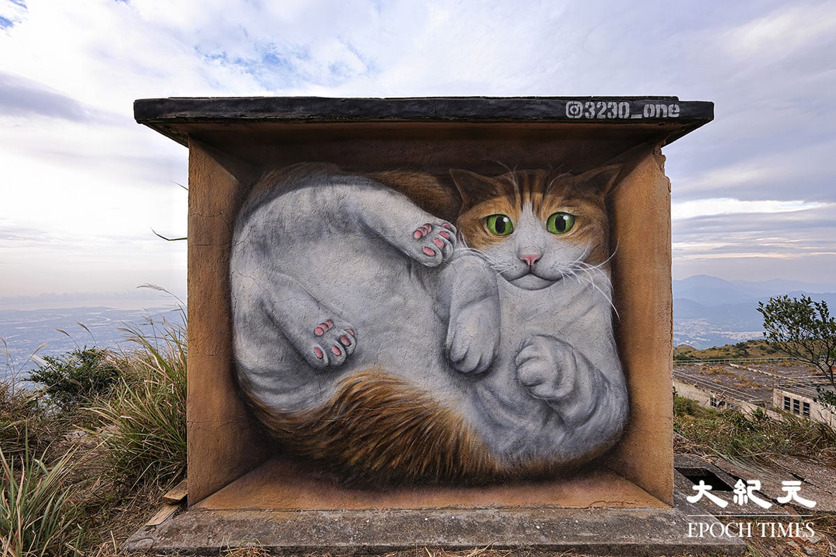 從正面觀看「貓屋」壁畫，一隻貓咪捲縮在「紙盒」當中，形態可愛。（明朗／大紀元）