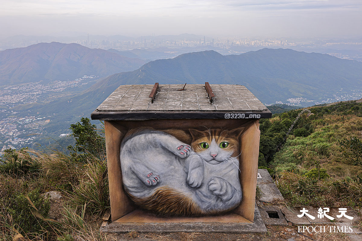 大帽山近山頂位置，近日出現了一間「貓屋」，引起網民關注。（明朗／大紀元）