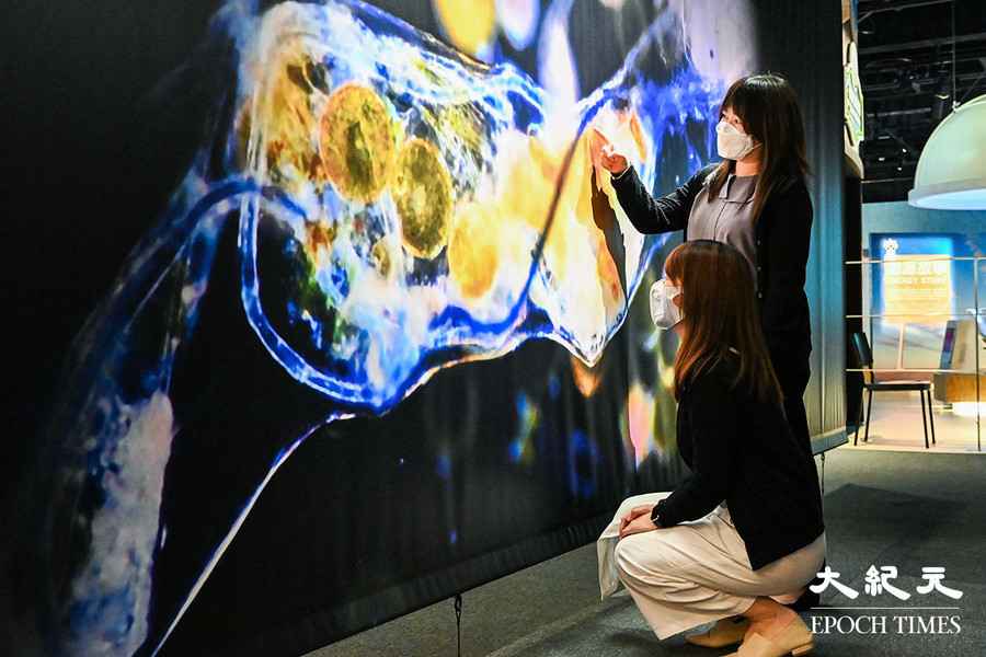 法國科學節｜科學館明起舉辦展覽及虛擬實境體驗
