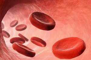 世界首例：實驗室培育的紅細胞被輸入人體