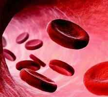 世界首宗：實驗室培育的紅細胞被輸入人體