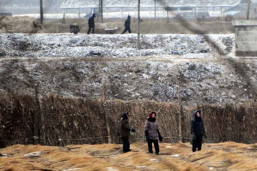 飢餓難當 北韓人四處收集馬鈴薯皮