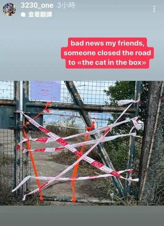 「貓屋」被圍封後 俄藝術家再有新作  選址曾發生奪命交通意外