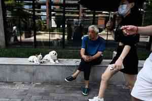 德勤：中國寵物數量接近2億隻 推動資本入局