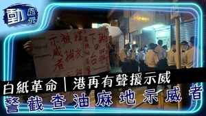 【動紀元】白紙革命｜港再有聲援示威 警截查油麻地示威者