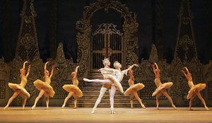 傳統夢幻芭蕾舞劇《胡桃夾子》