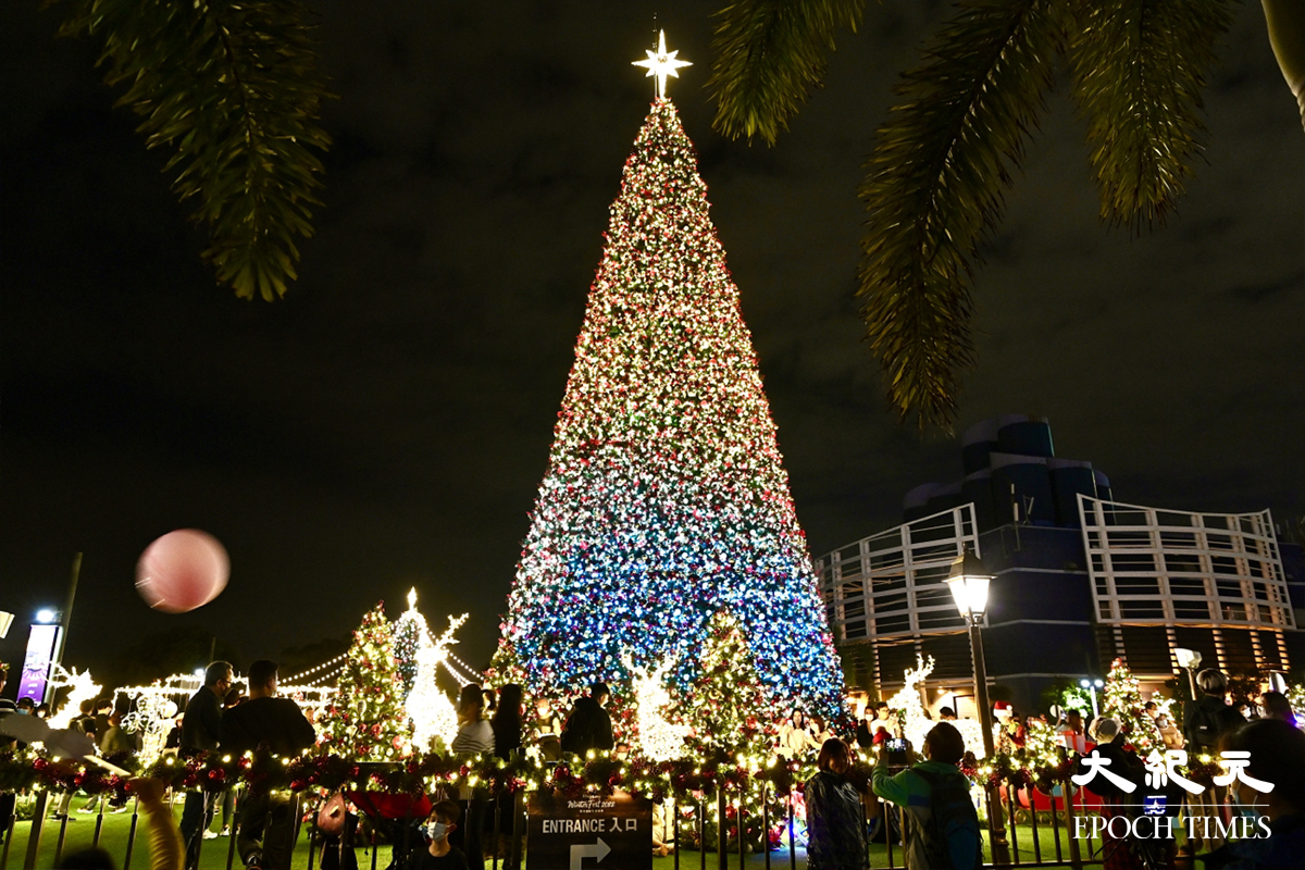 巨型聖誕樹高20米，約6層樓高。（宋碧龍／大紀元）