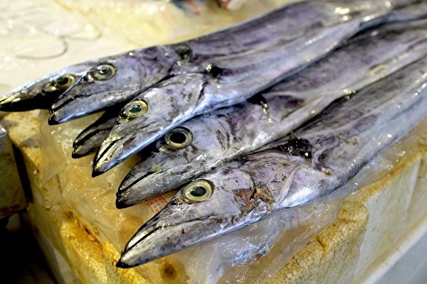 中共海關總署日前再次禁止了大批台灣產品進口中國，台灣水產業者僅魷魚一項損失恐怕就超過一億美元。圖為今年8月被中共禁止進口的台灣白帶魚。（台北市市場處）