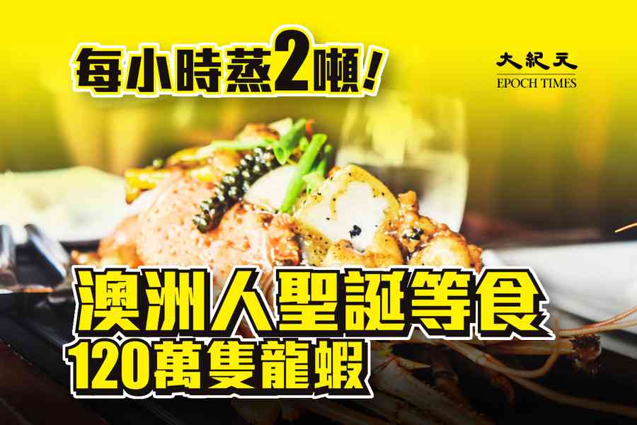 聖誕大餐｜每小時蒸兩噸龍蝦 120萬隻Lobsters將被送上澳洲餐枱