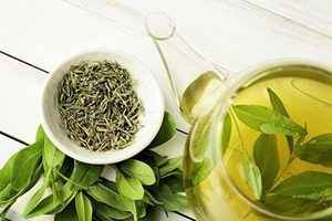 研究：綠茶提取物可有效抑制抗腫瘤藥物引發的腹瀉